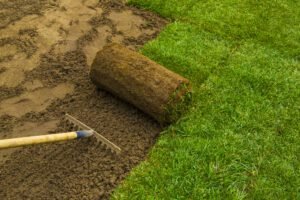 Sod vs Seed Which Lawn Installation Option Is Right for You with Copperhead Property Maintenance