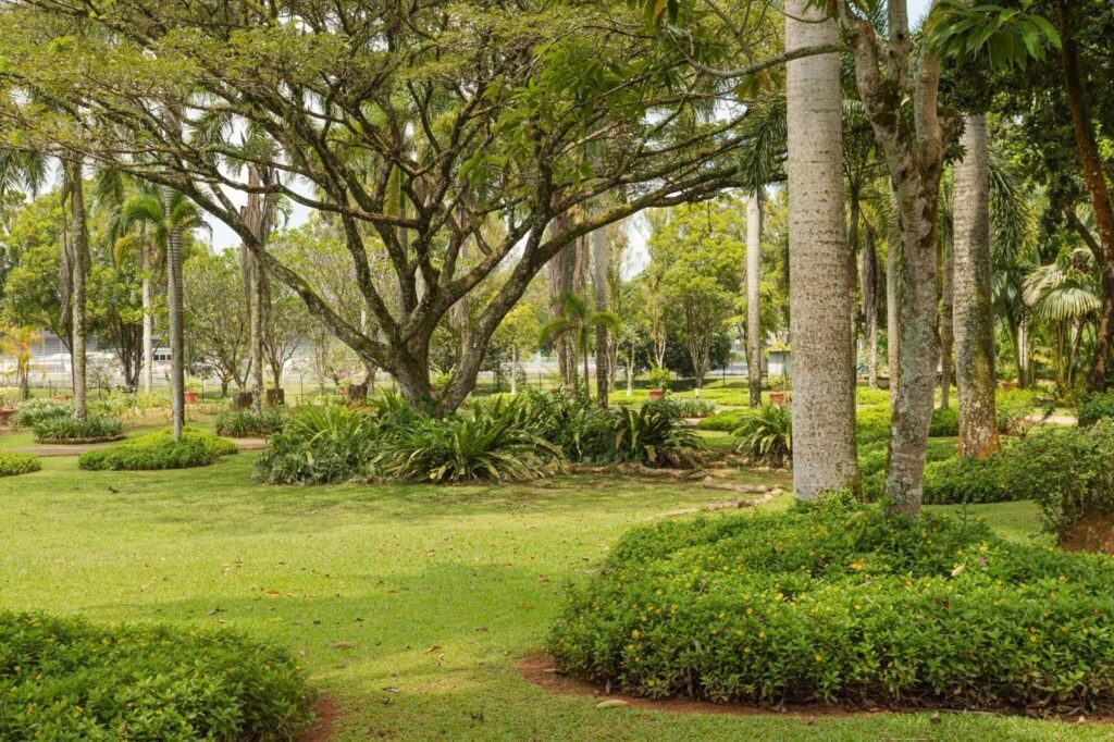 Commercial Property Maintenance with bed Mulching in Land O' Lakes FL