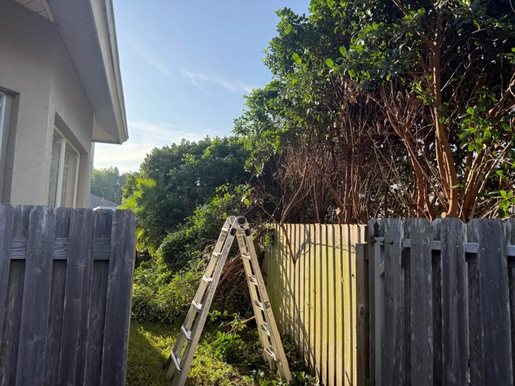 Residential property clean up in progress with overgrown shrubs and tree branches being trimmed near a wooden fence, showing professional yard cleanup, debris removal, and exterior property maintenance in Waterside FL.