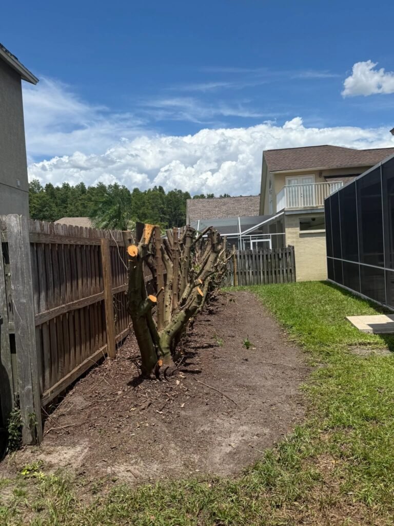 Residential property clean up showing freshly cut hedges and tree trunks along a wooden fence, with debris cleared and soil prepared as part of professional yard cleanup and exterior property maintenance in Ladera FL