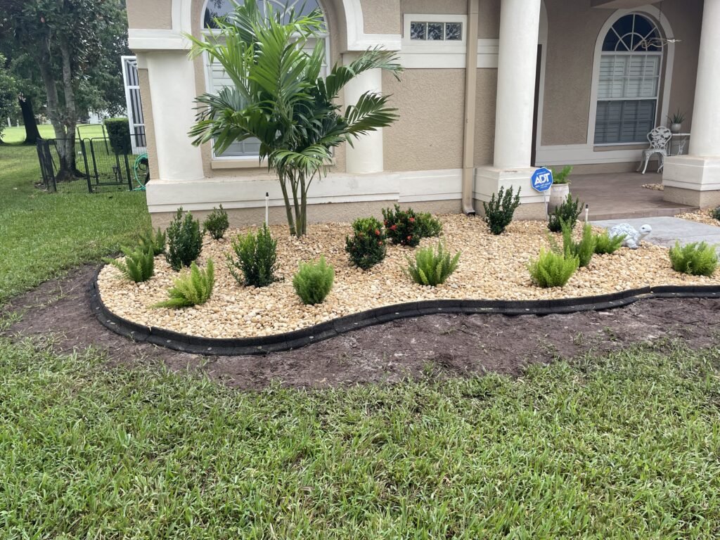 New rock beds with spruce plants in front of luxury home in Land O' Lakes FL