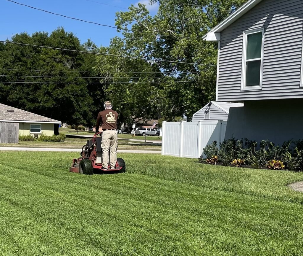Professional lawn mowing and landscaping service maintaining a clean, green residential yard in lutz fl