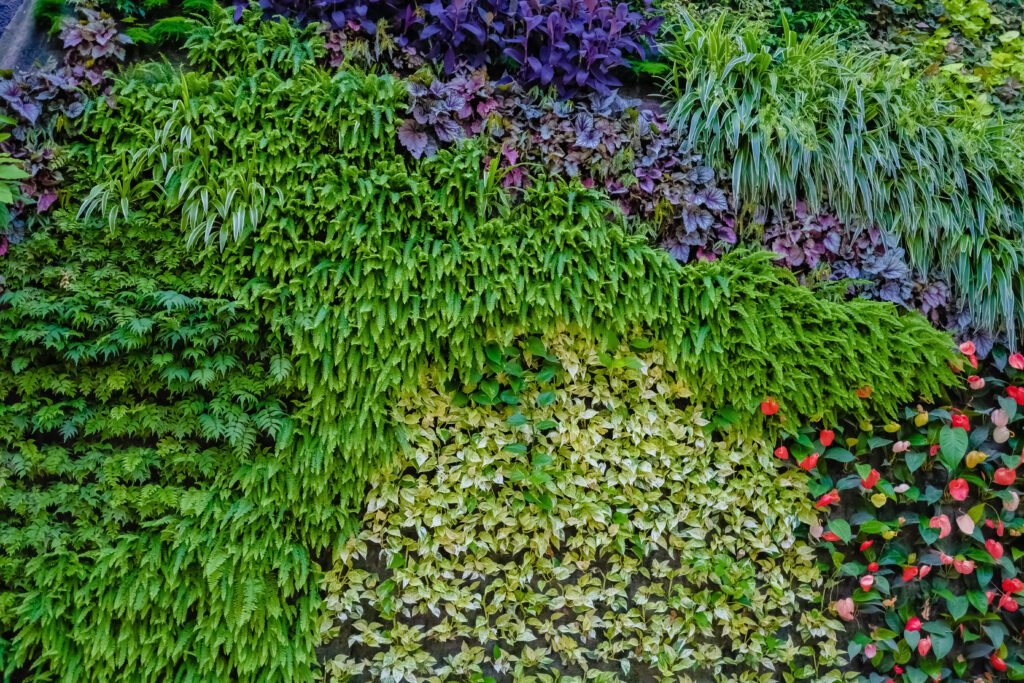 Vertical garden designed by copperhead property maintenance and landscaping