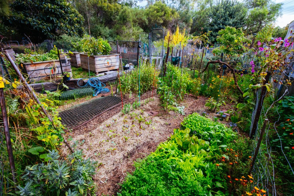 Functional garden installed by copperhead lawn care