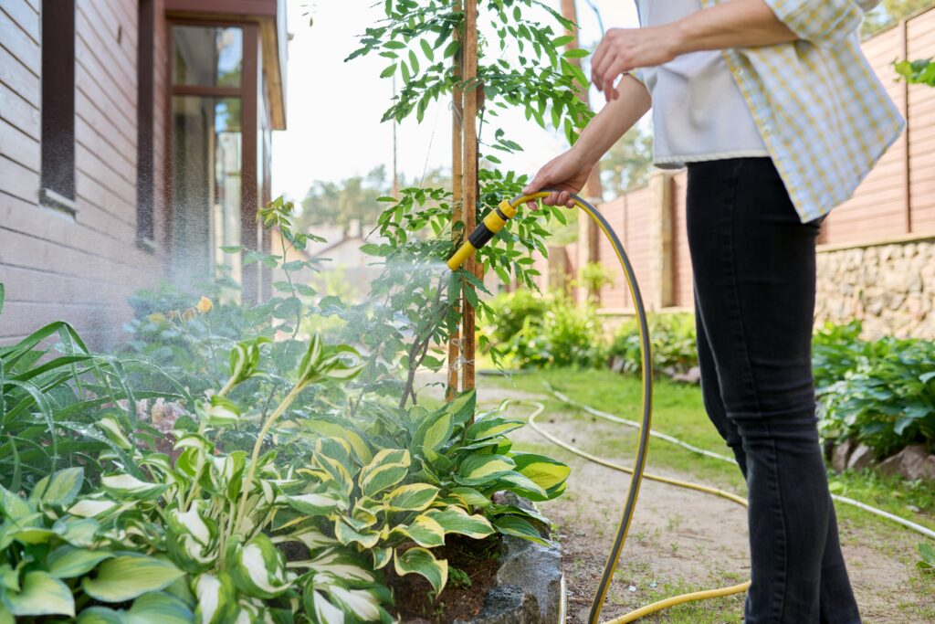 Woman watering flowerbeds with a hose in garden planted by copperhead property maintenance