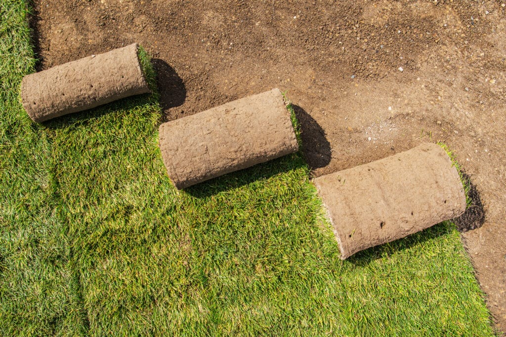 Lawn Installation Process With Fresh Sod Being Laid out in the Garden