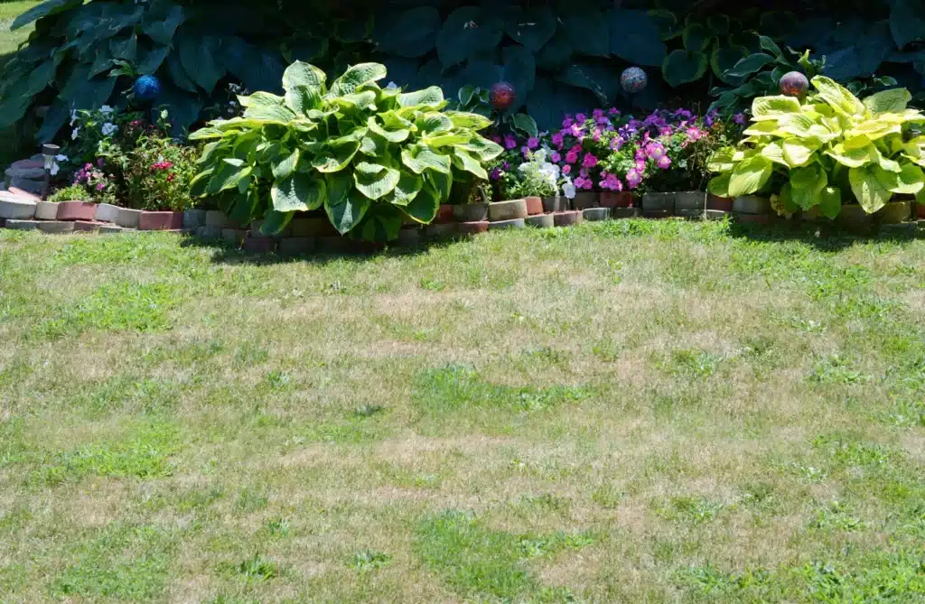 landscaping company Lutz area residential curb appeal - landscaping company Lutz area