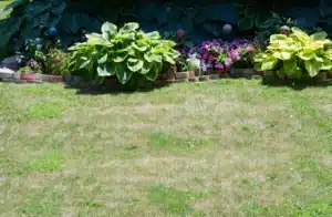 landscaping company Lutz area residential curb appeal - landscaping company Lutz area