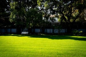 lush green residential lawn
