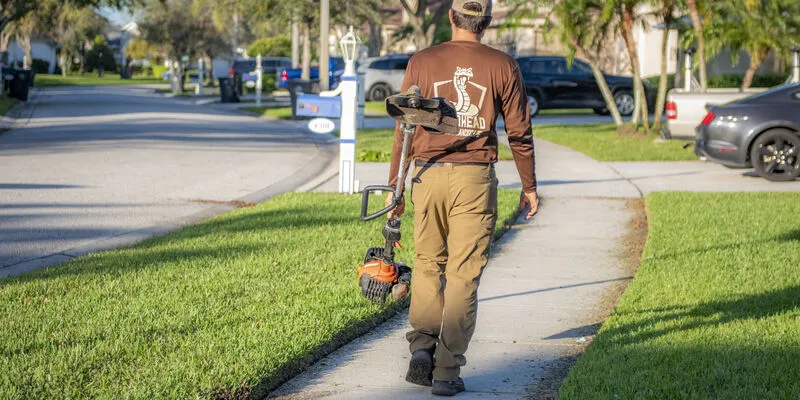 mulching and decorative rocking services for Lutz FL residential landscape design