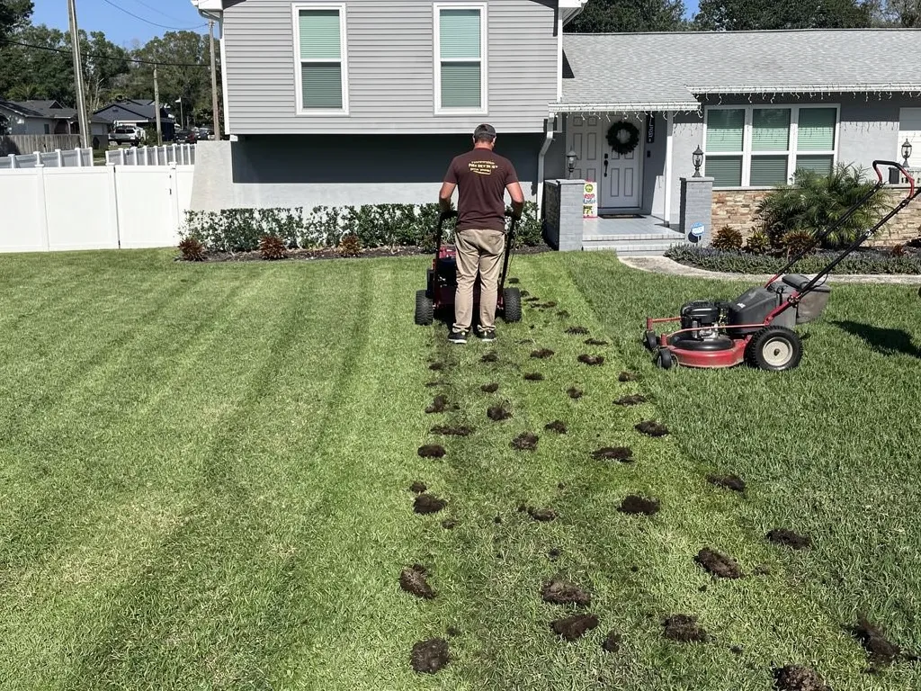 Core aeration plugs pulled from a Florida lawn's soil