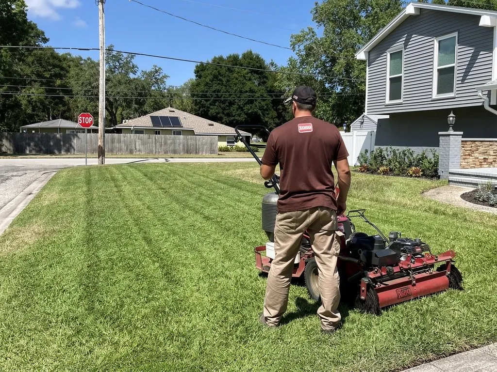 Healthy green Florida lawn after professional aeration service