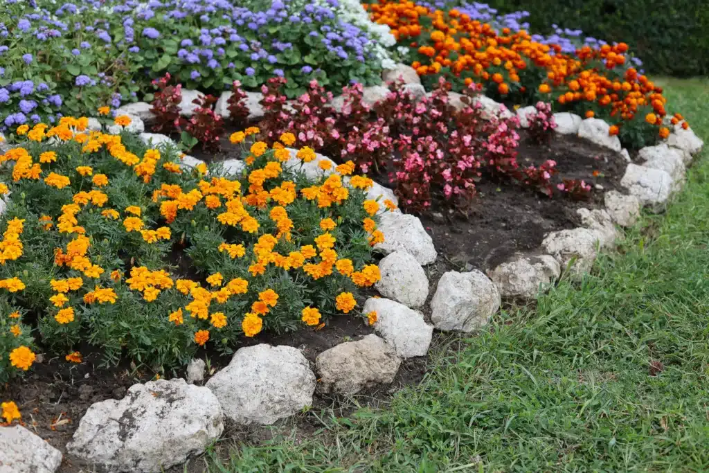 Best Flower Bed Edging Ideas and Installation
