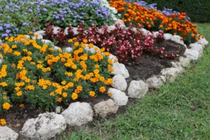 Best Flower Bed Edging Ideas and Installation