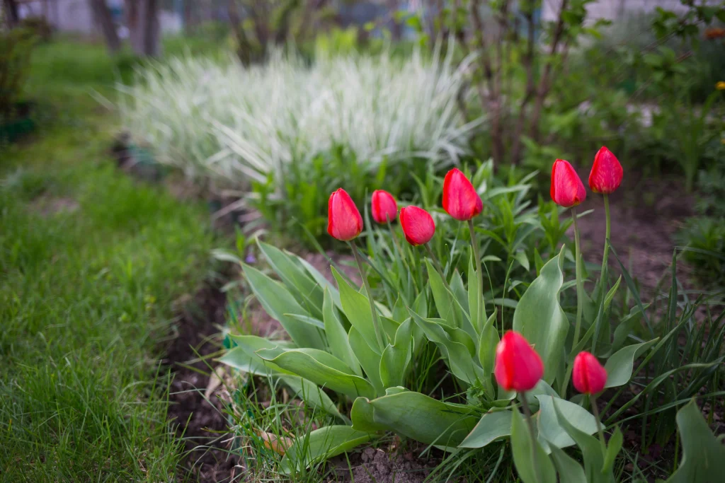 Best Flower Bed Edging Ideas